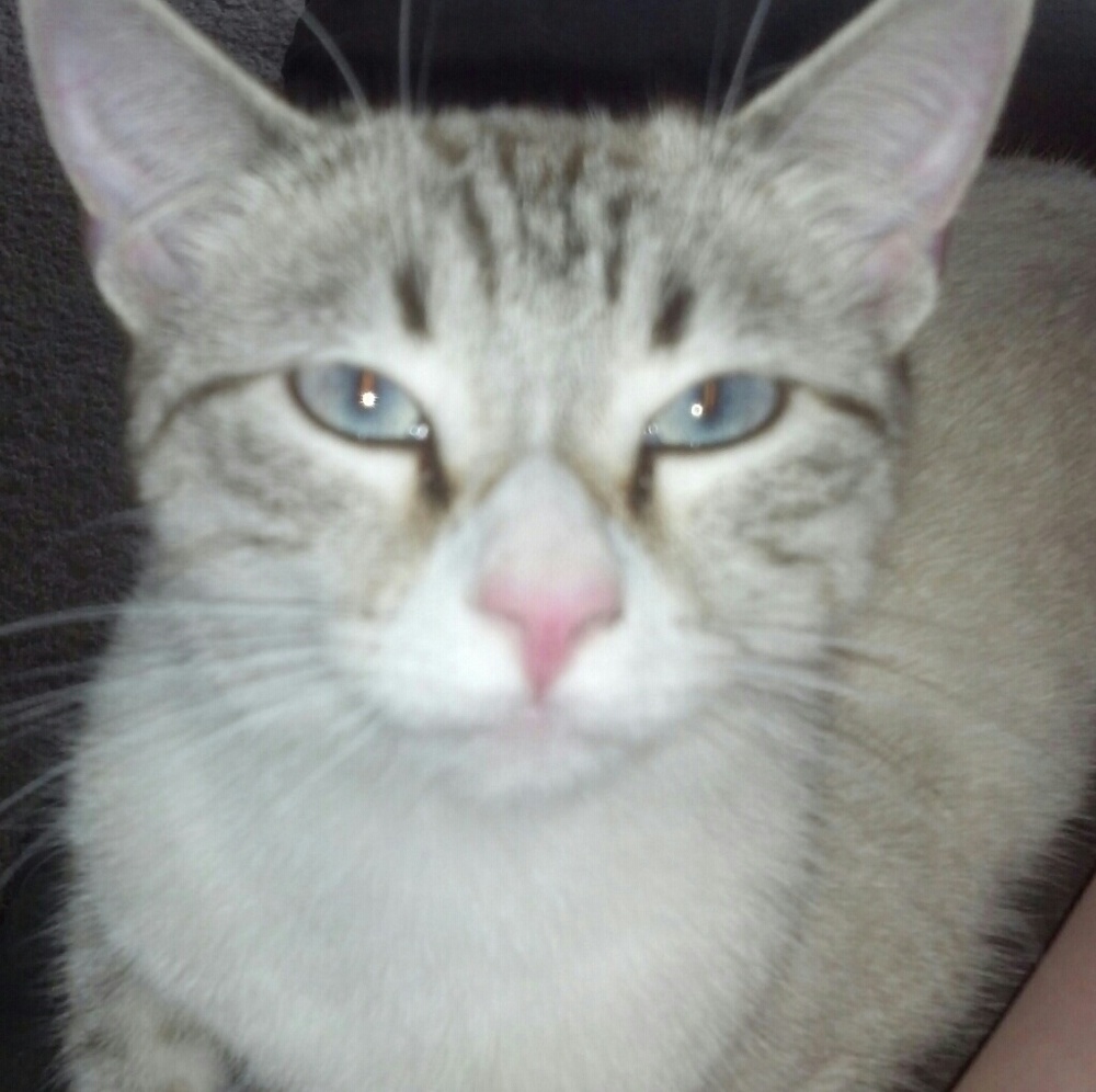 Meet your Posher, Sandra