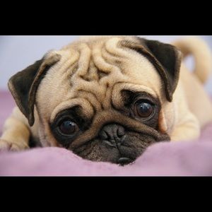 Meet your Posher, Mayra