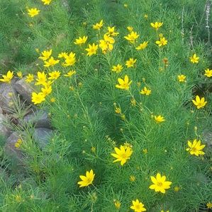 Meet your Posher, Burdette