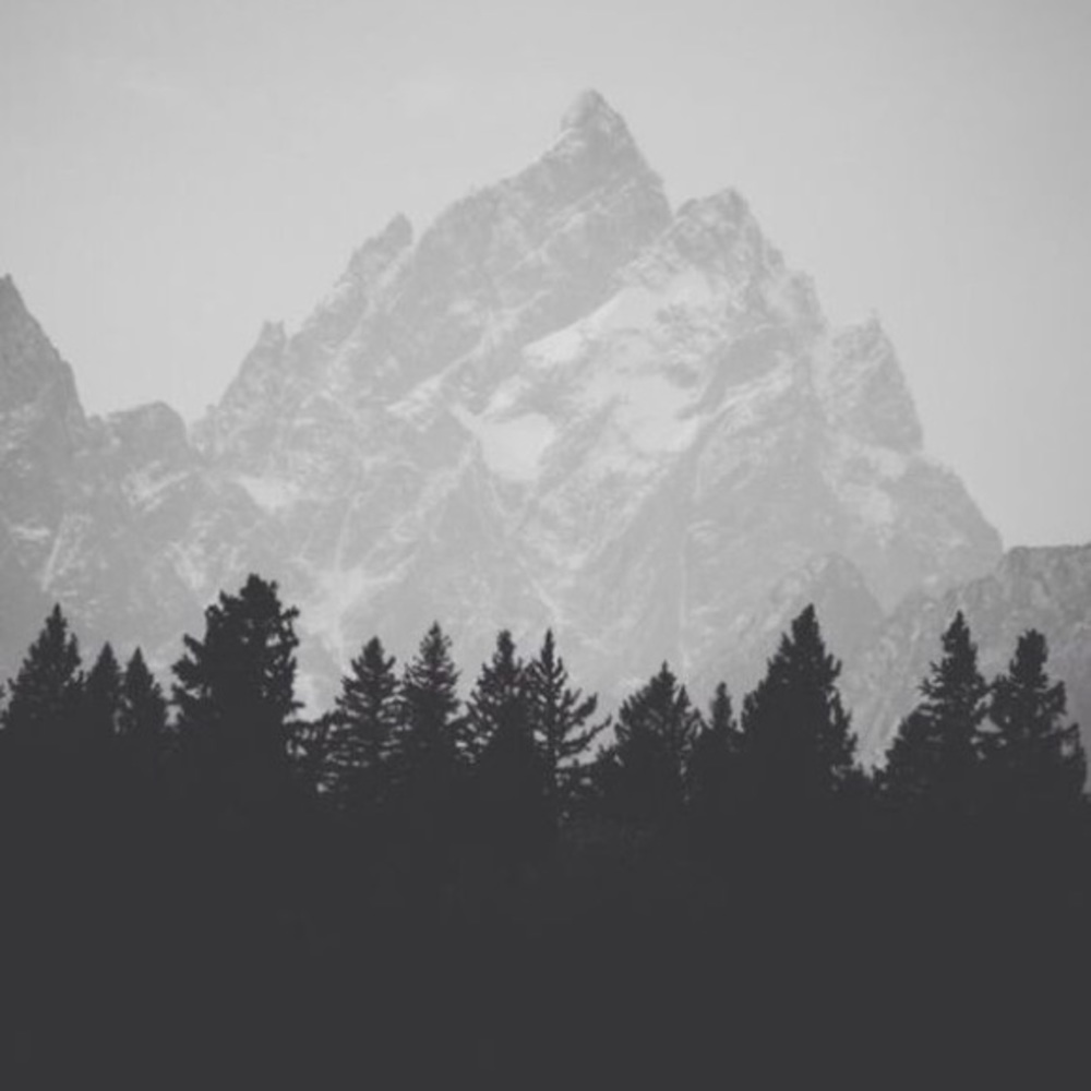 Meet your Posher, Carley