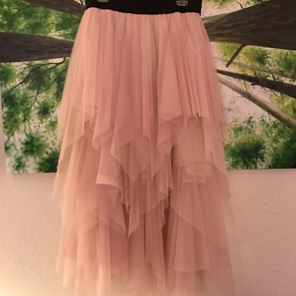 Free People Pink Tulle Fairy Skirt