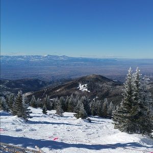 Meet your Posher, Dylan