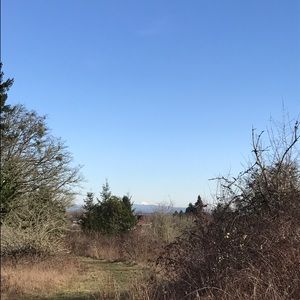 Meet your Posher, Norah