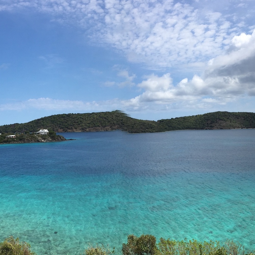 Meet your Posher, Bonnie