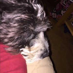 Meet your Posher, Kathy