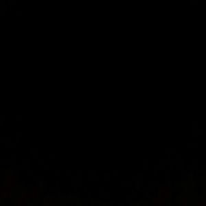 Meet your Posher, Leopoldo