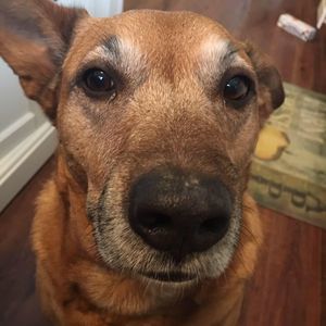 Meet your Posher, Wendy