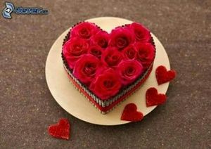 Meet your Posher, F?tima