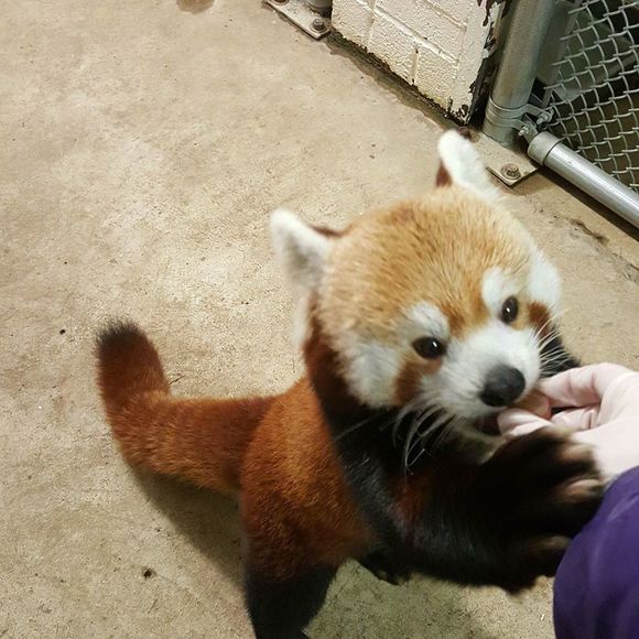 Meet your Posher, Jennifer - Picture 1 of 1