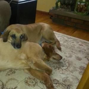 Meet your Posher, Paula