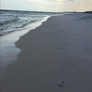 Meet your Posher, Dena