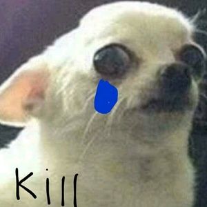 Meet your Posher, Yamilex