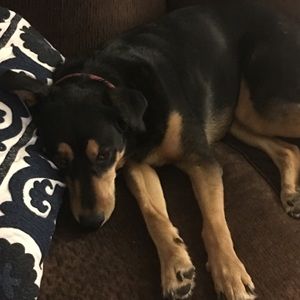 Meet your Posher, Briana