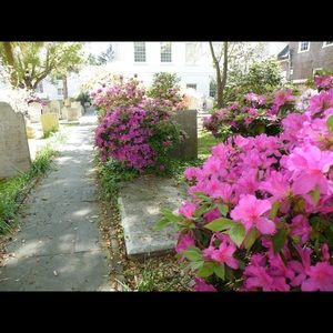 Meet your Posher, Lori