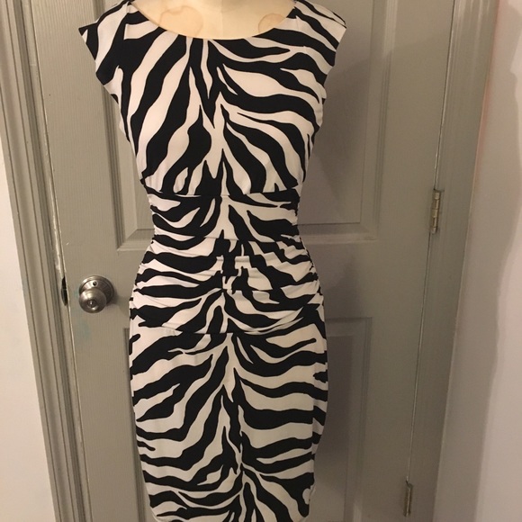 Dresses & Skirts - 👠Zebra Dress👠