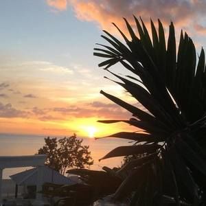 Meet your Posher, Johnna