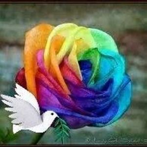 Meet your Posher, Lupe