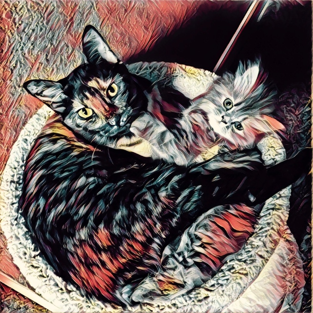 Meet your Posher, Jennifer