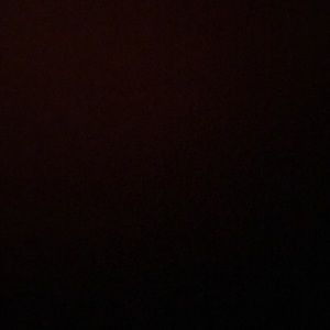 Meet your Posher, Trevor