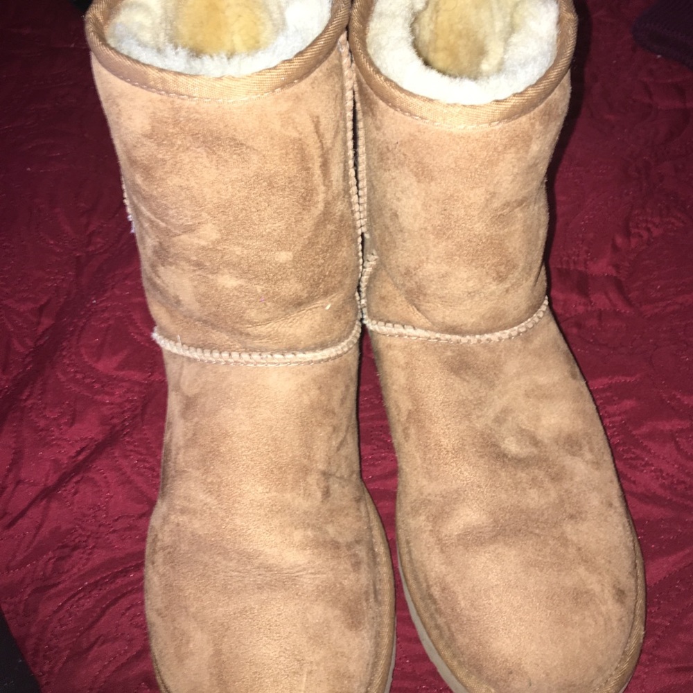 Classic Length Chestnut Uggs Size 8
