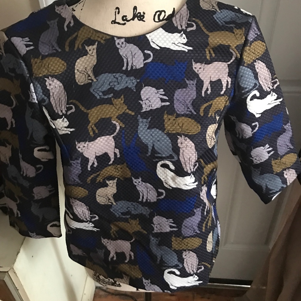 Cat blouse
