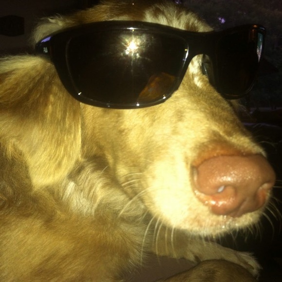 Meet your Posher, Cait - Picture 1 of 1