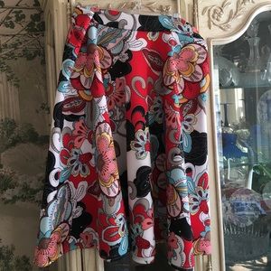 Colorful, Full Skirt