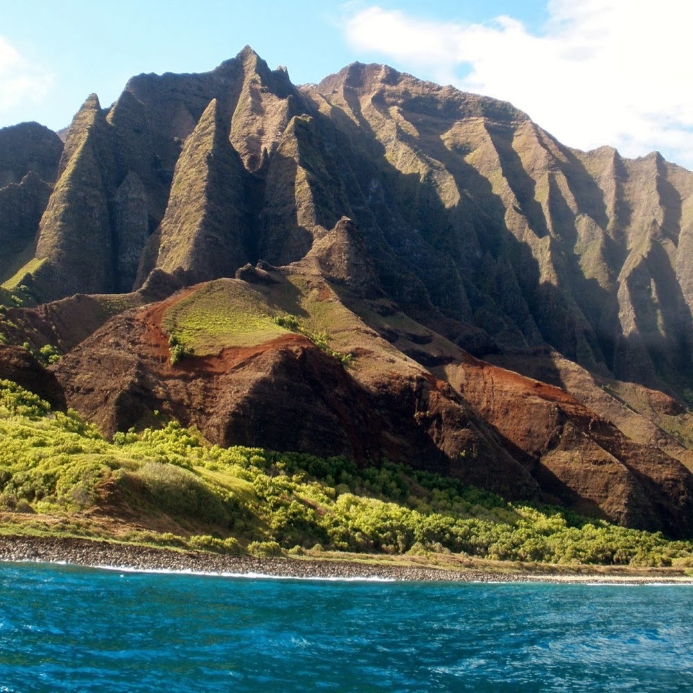 Meet your Posher, Dreya