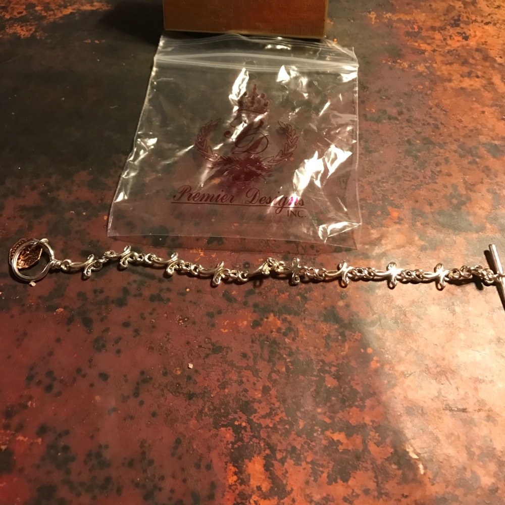 Premier Design bracelet (the gift)