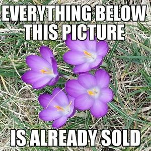 Everything below this picture is already sold