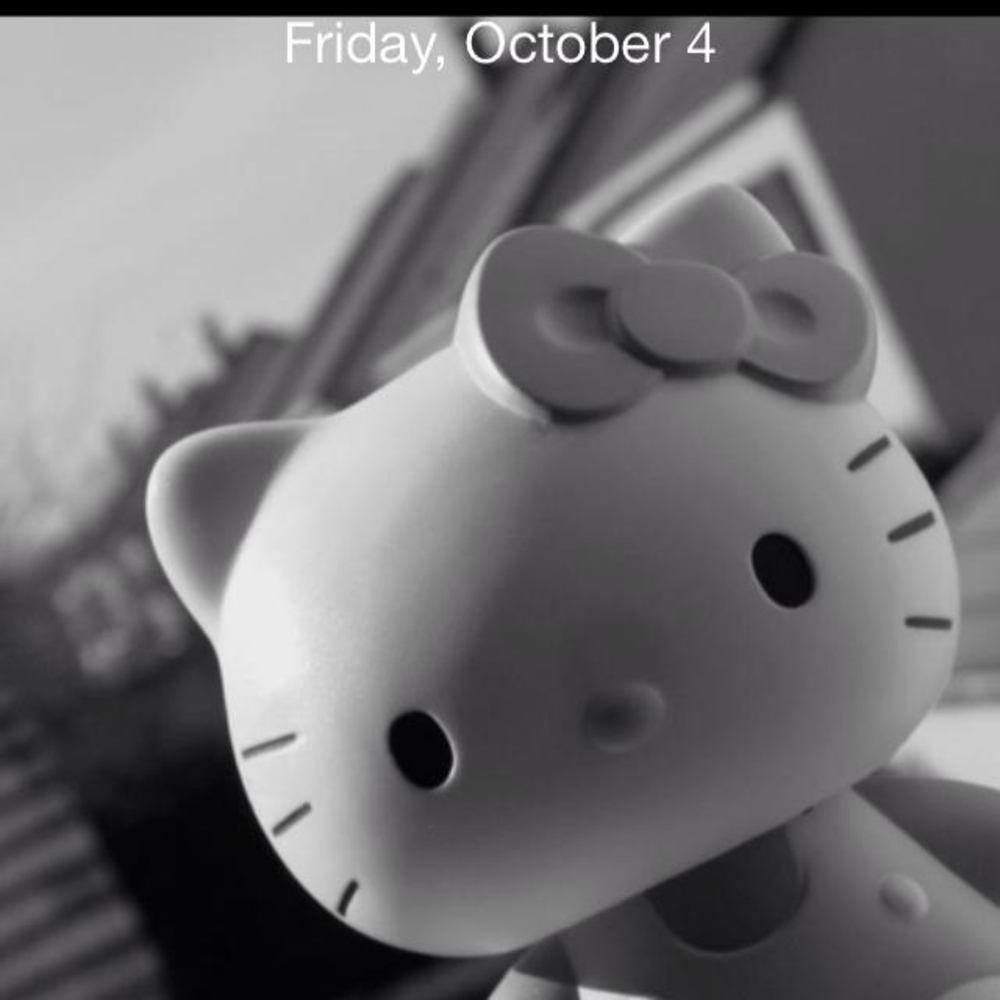 Meet your Posher, Lisa