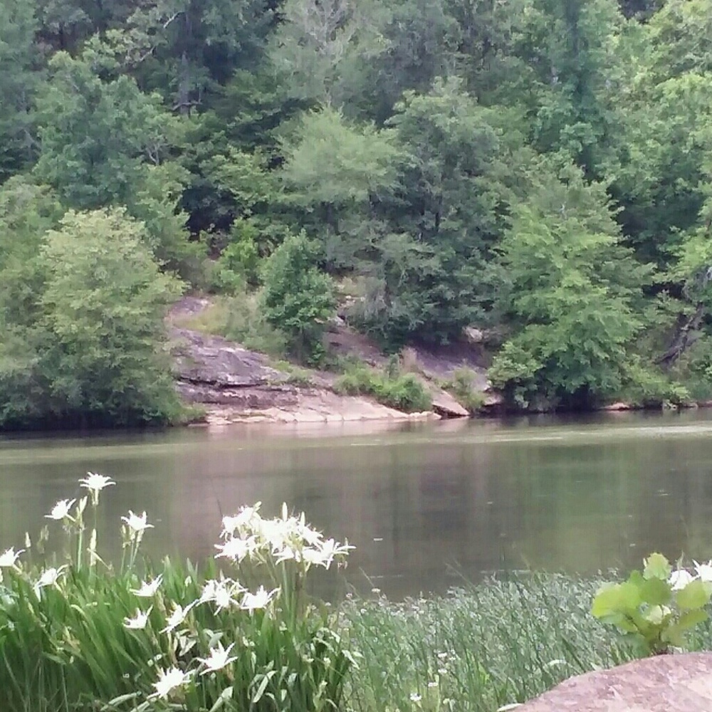 Meet your Posher, Joshua