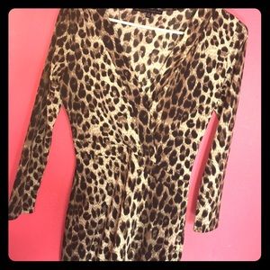 Stretchy V-neck Dress