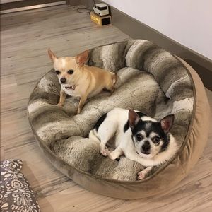 Meet your Posher, Tsugumi