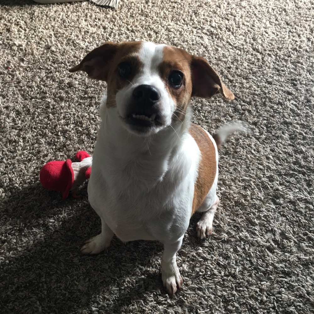 Meet your Posher, Brooke