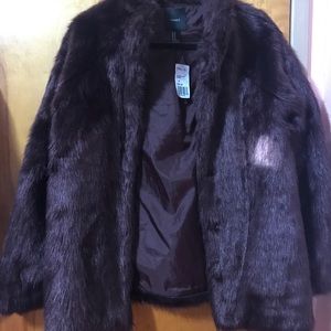 Reddish purple coat