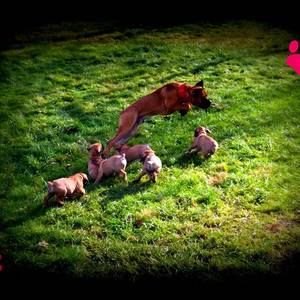 Meet your Posher, Diana