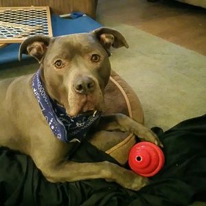 Meet your Posher, Dawna