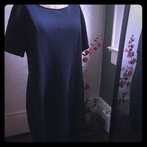 Loft Short sleeve Shift Dress