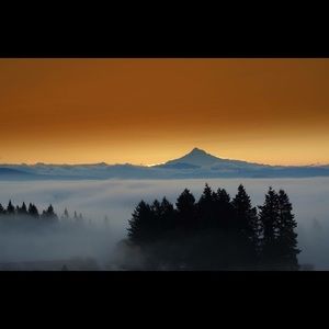 Meet your Posher, Daria