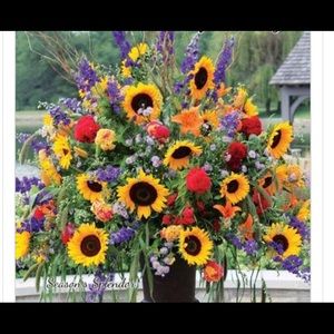 Meet your Posher, Cynthia