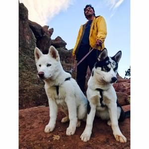 Meet your Posher, Stephen