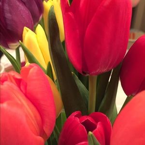 Meet your Posher, Donna