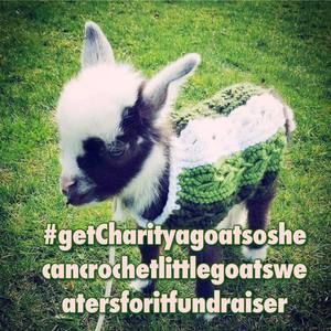 Meet your Posher, Charity