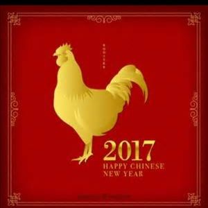 Meet your Posher, Linh