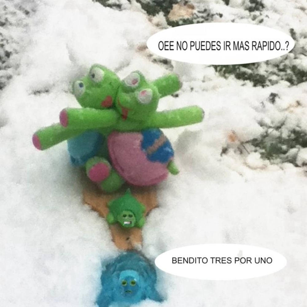 Meet your Posher, Jully