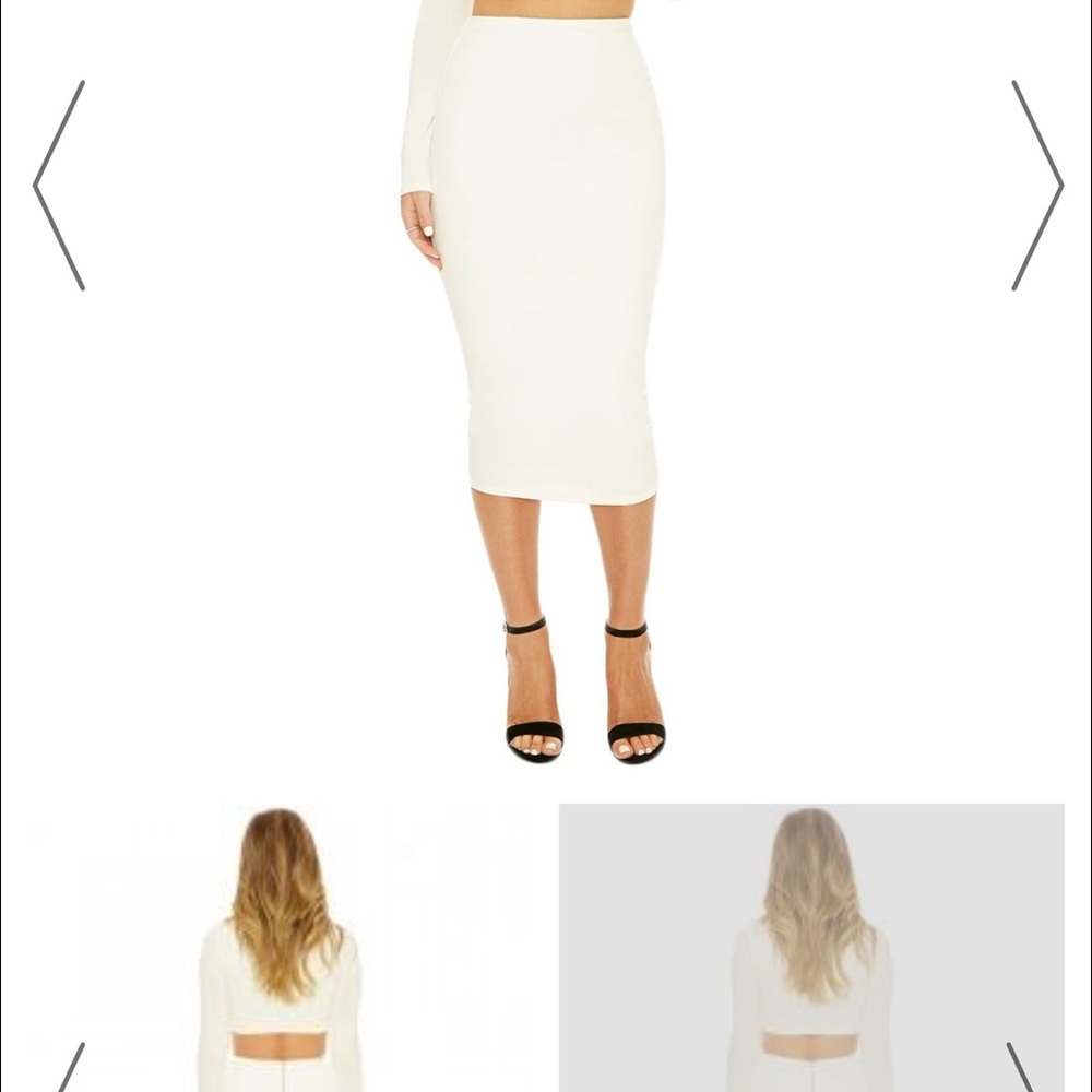 Fitted Pencil Skirt- with Zipper back