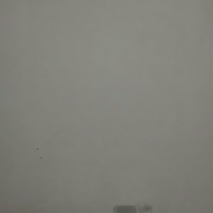 Meet your Posher, Yvette