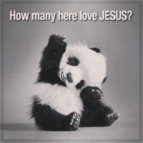 Meet your Posher, Darlene - Picture 1 of 1