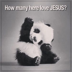 Meet your Posher, Darlene